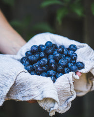 Lavender Blueberry Facial Glow