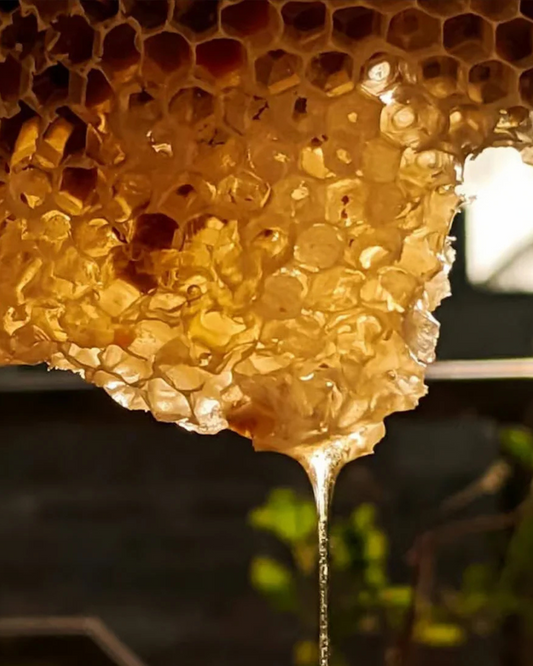 Spring and Summer Honey: A Seasonal Spectrum of Color