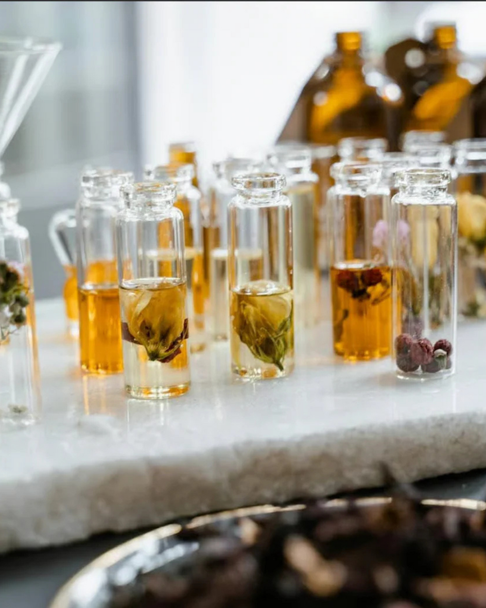 Jojoba Jewels: The Incredible Benefits of Jojoba Oil